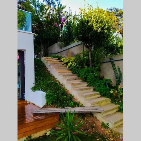The Lucky Dreamer Villa Adalar